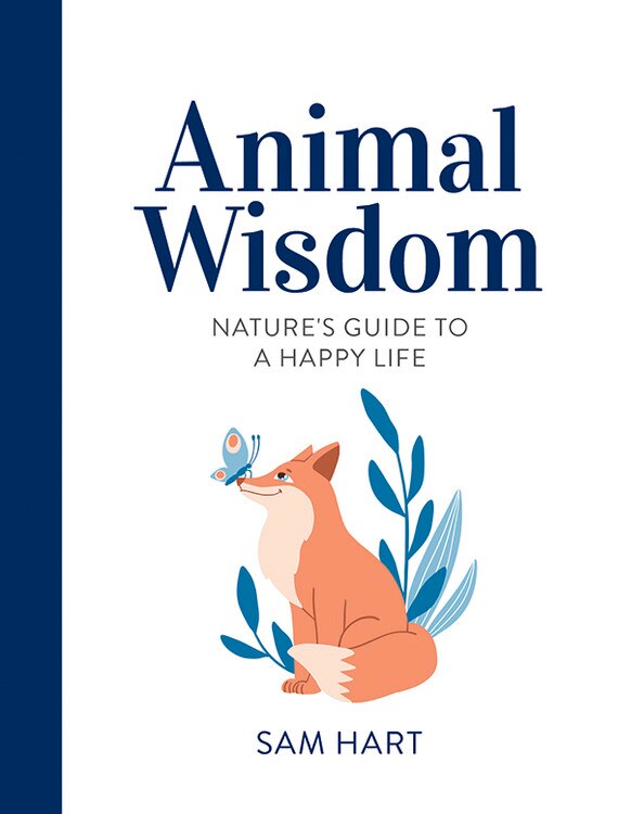Front cover_Animal Wisdom