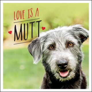 Front cover_Love Is A Mutt