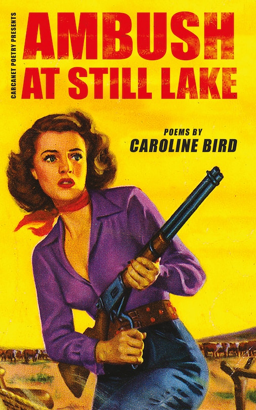 Front cover_Ambush at Still Lake