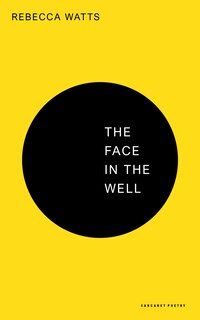 Front cover_The Face in the Well