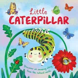 Nature Stories: Little Caterpillar: Padded Board Book de IglooBooks