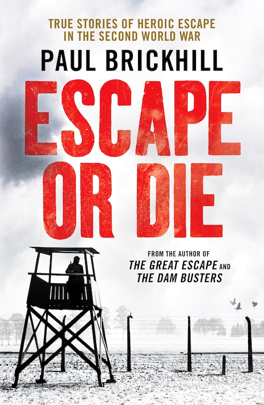 Couverture_ESCAPE OR DIE