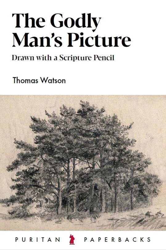 Front cover_The Godly Man's Picture