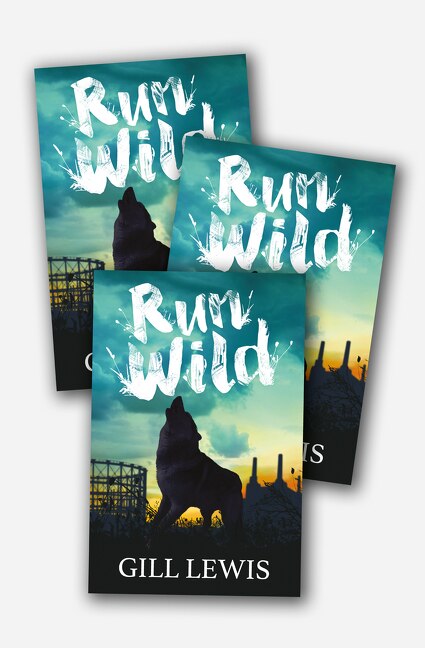 Front cover_Run Wild 30 Copy Class Set