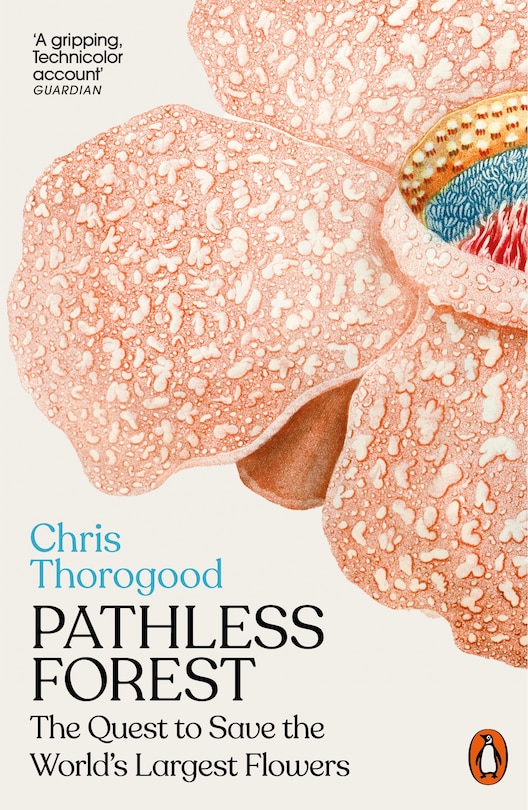 Couverture_Pathless Forest