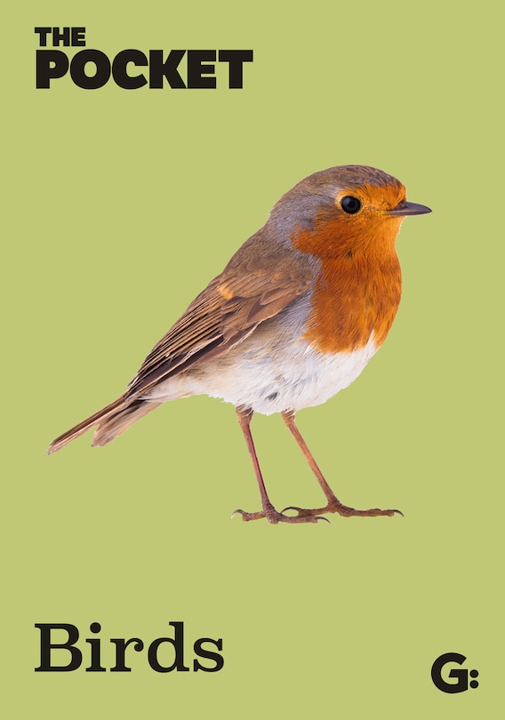 Front cover_The Pocket Birds