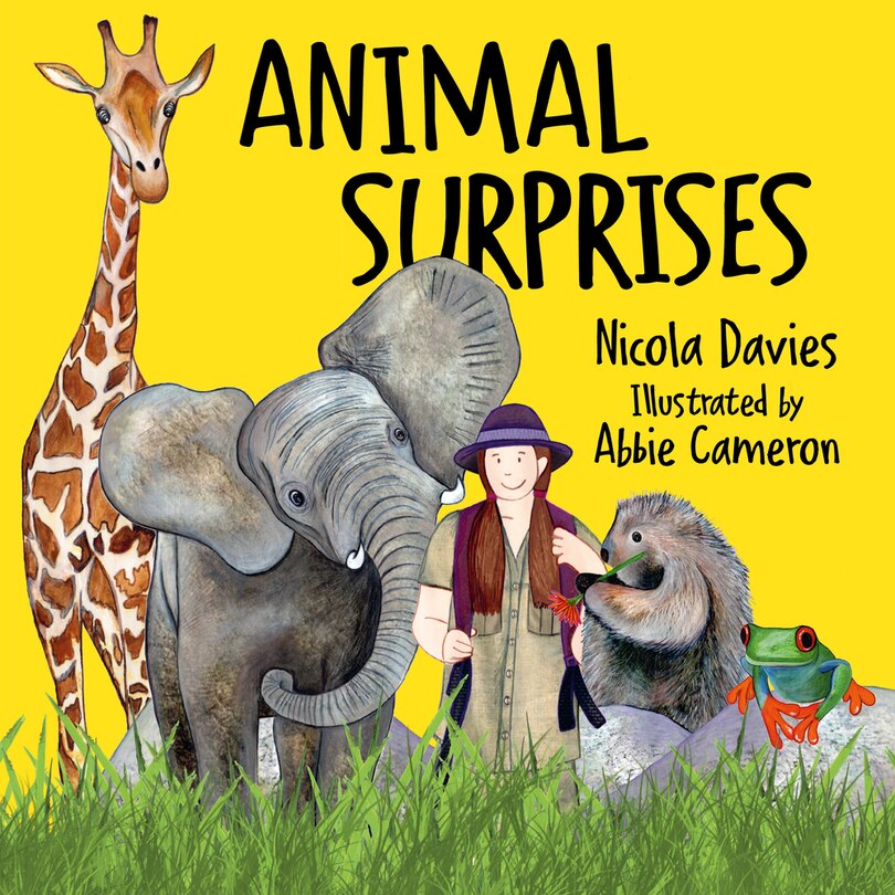 Front cover_Animal Surprises
