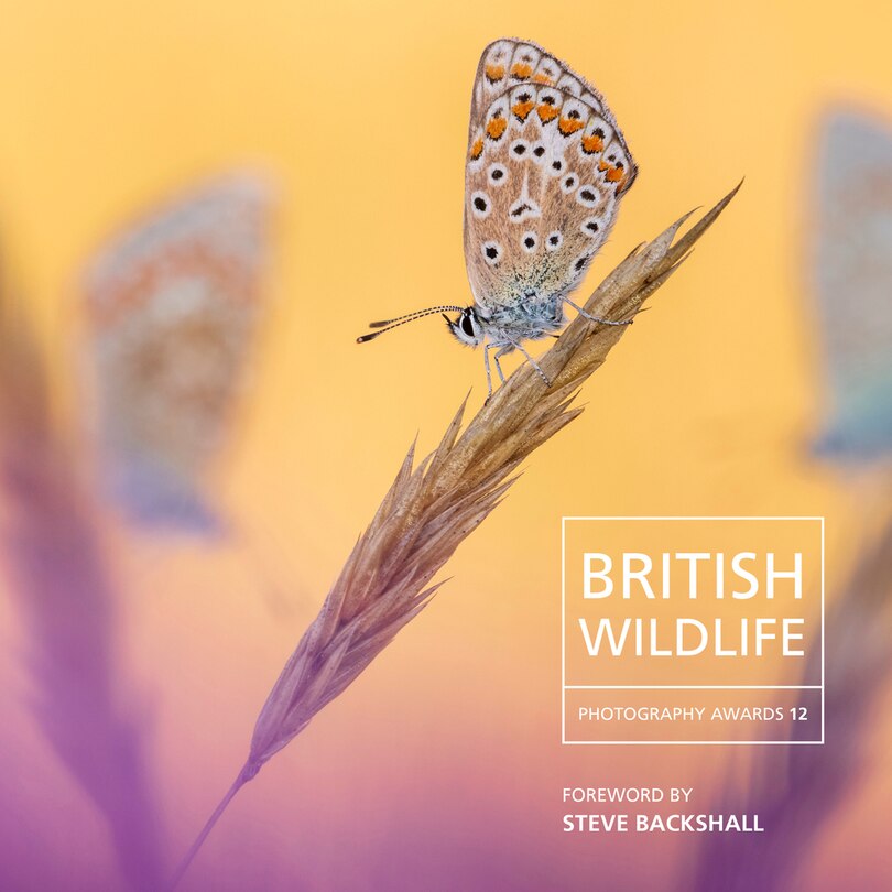 Front cover_British Wildlife Photography Awards 12