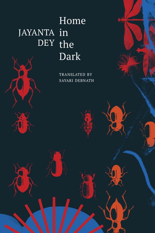 Couverture_Home in the Dark