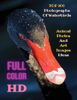 Top 100 Photographs Of Waterbirds - Animal Photos And Art Images Ideas - Full Color Hd: Artistic Pictures Of Water Birds - The Images Can Create Awareness About The Variety And Beauty Of