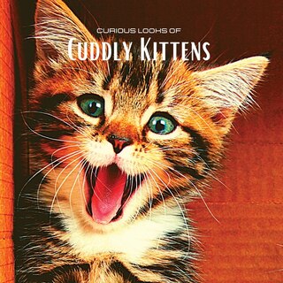 Curious Looks Of Cuddly Kittens: Colour Photo Album With Beautiful Kittens. Gift Idea For Lovers Of Small Felines And Nature. Photo