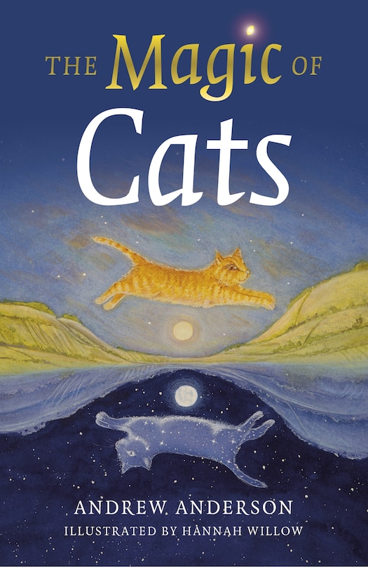 Front cover_The Magic of Cats