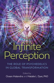 Front cover_Infinite Perception