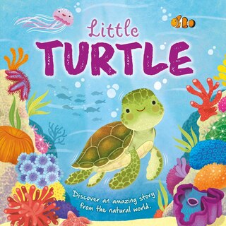 Front cover_LITTLE TURTLE