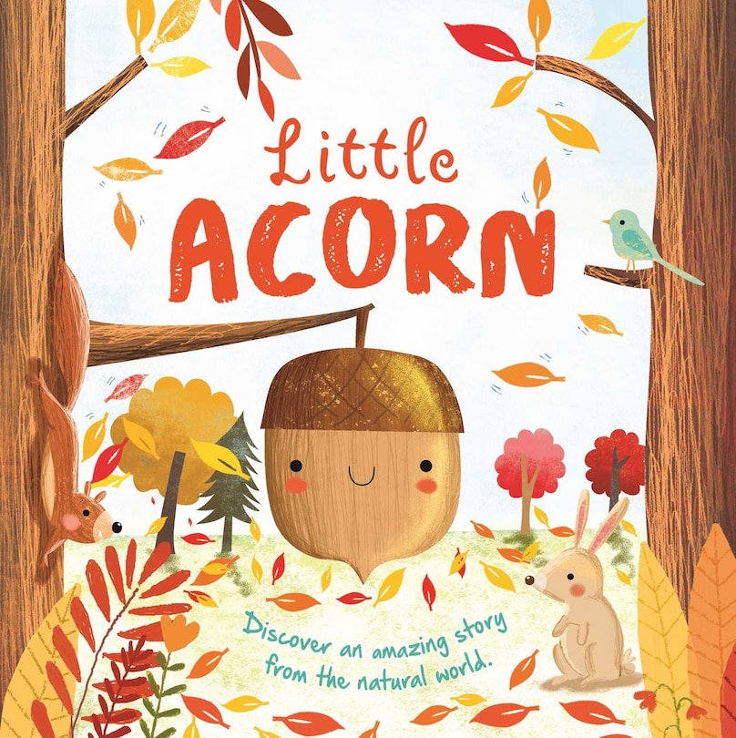 Front cover_Nature Stories: Little Acorn-Discover an Amazing Story from the Natural World
