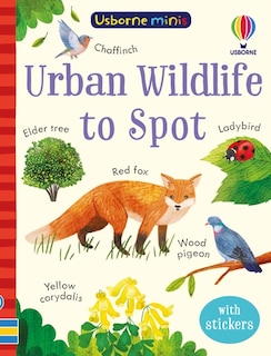 Front cover_Usborne Minis: Urban Wildlife to Spot