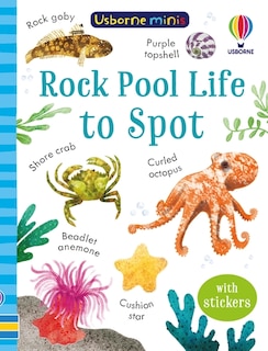 Front cover_USBORNE MINIS: ROCK POOL LIFE TO SPOT