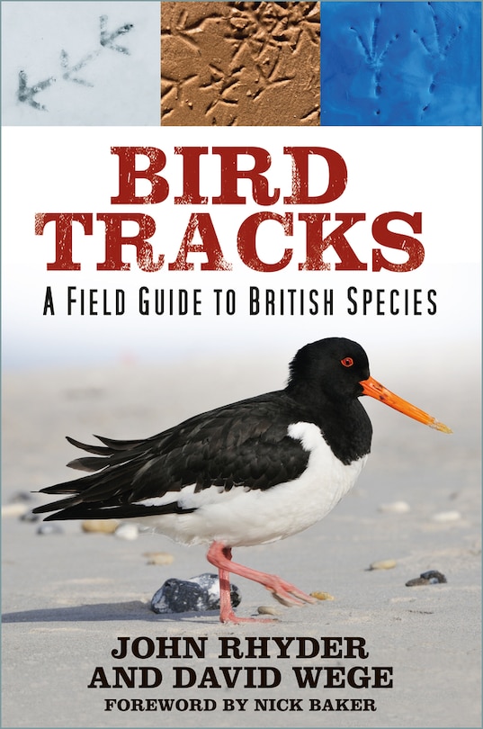 Couverture_Bird Tracks