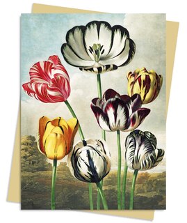 Couverture_Temple of Flora: Tulips Greeting Card Pack