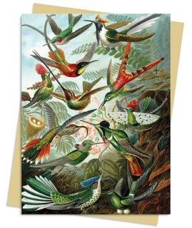 Front cover_Ernst Haeckel: Hummingbirds Greeting Card Pack