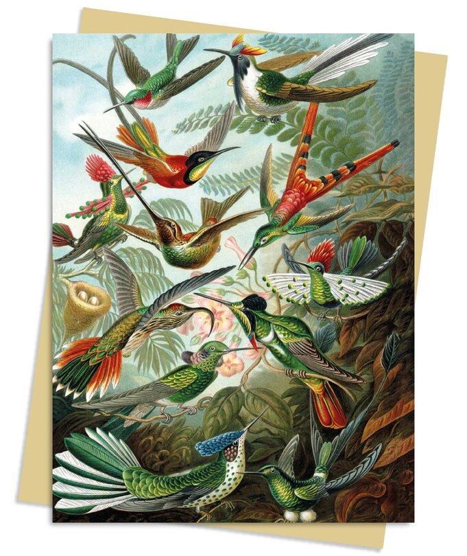 Front cover_Ernst Haeckel: Hummingbirds Greeting Card Pack
