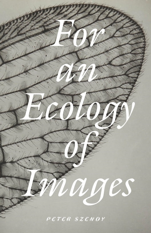 Front cover_For an Ecology of Images