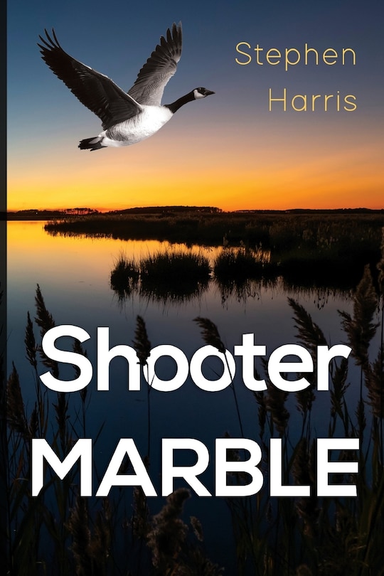 Couverture_Shooter Marble