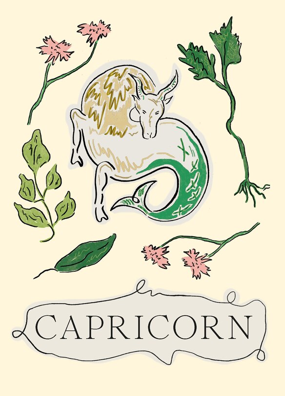 Front cover_Capricorn