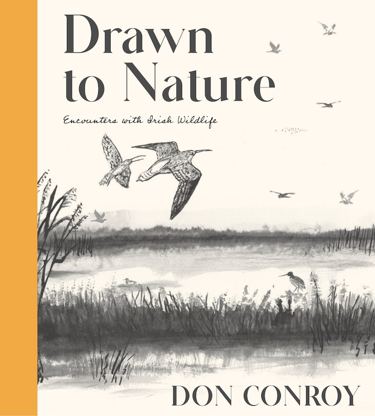 Couverture_Drawn to Nature