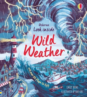 Front cover_Look Inside Wild Weather