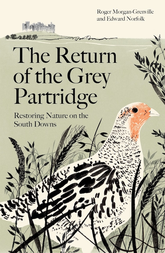 Couverture_Return of the Grey Partridge, The