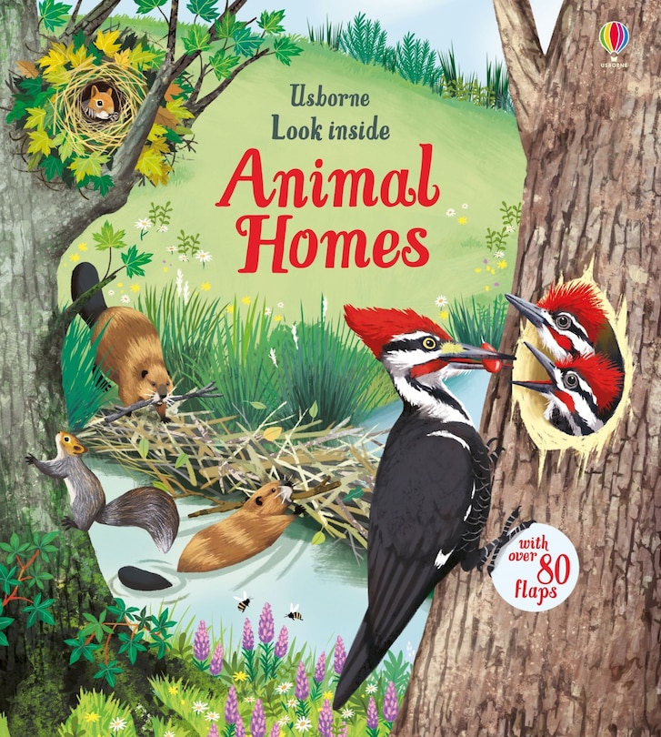 Front cover_Look Inside Animal Homes