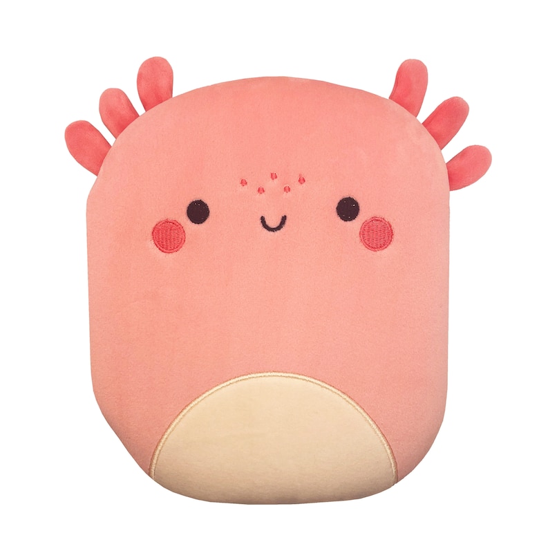 Couverture_Squish and Snugg Groovy Axolotl