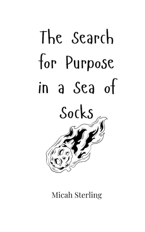 Couverture_The Search for Purpose in a Sea of Socks