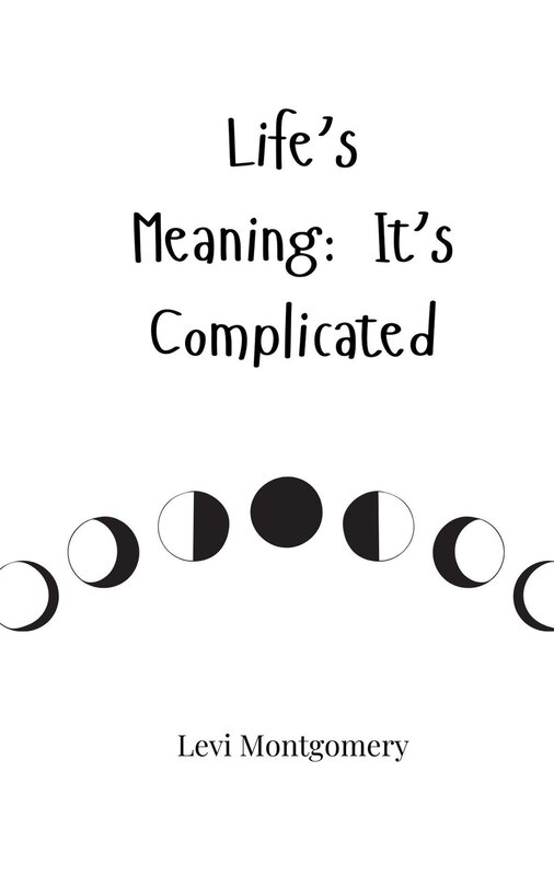 Couverture_Life's Meaning