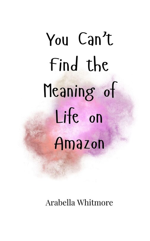 Couverture_You Can't Find the Meaning of Life on Amazon
