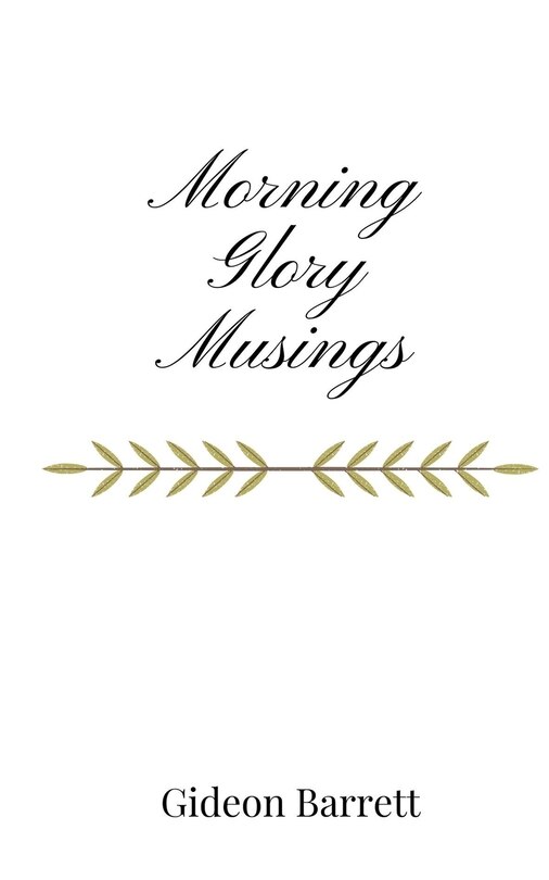 Couverture_Morning Glory Musings