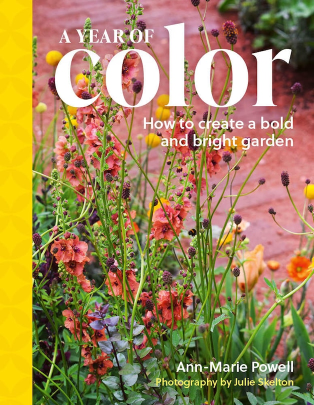 Front cover_A Year of Color