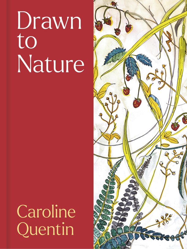 Front cover_Drawn to Nature