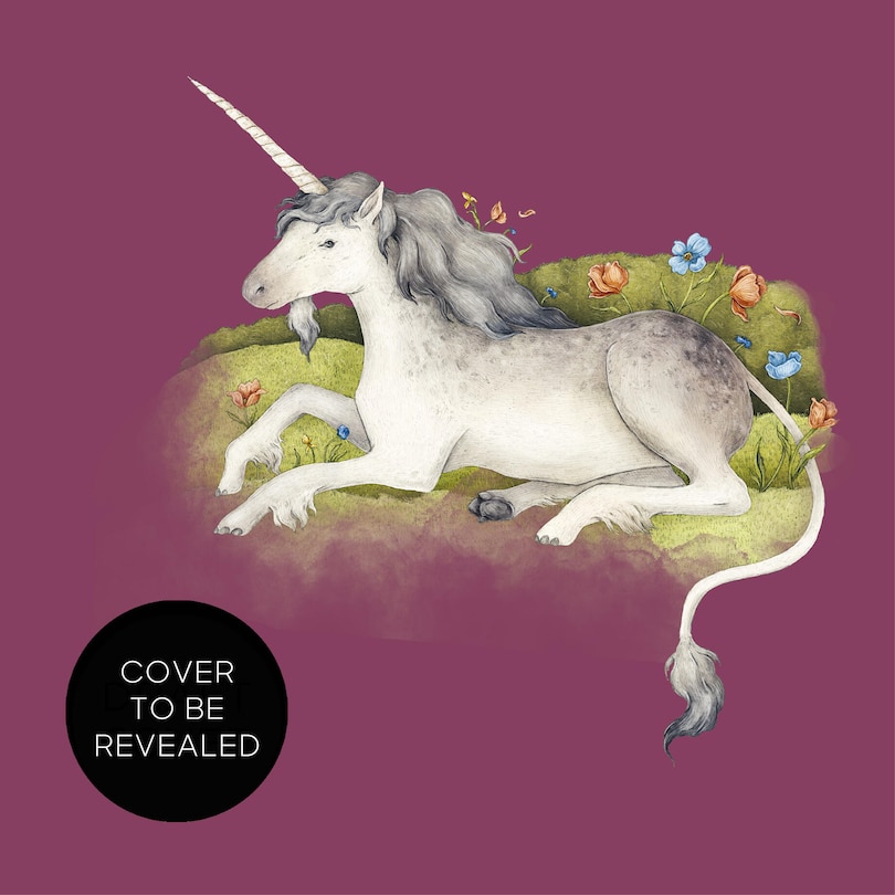 Couverture_Match the Unicorns