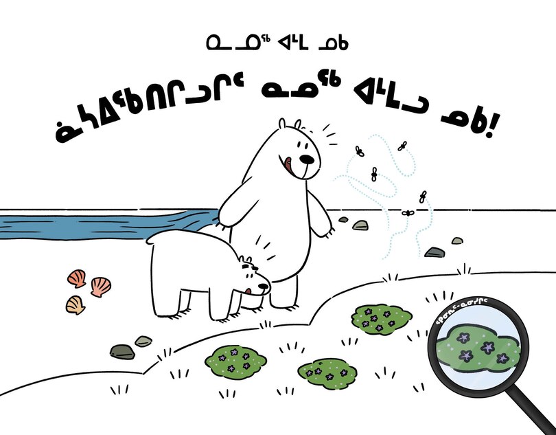 Front cover_Count with Nanuq and Nuka!