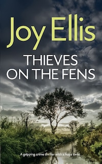 Couverture_THIEVES ON THE FENS a gripping crime thriller with a huge twist