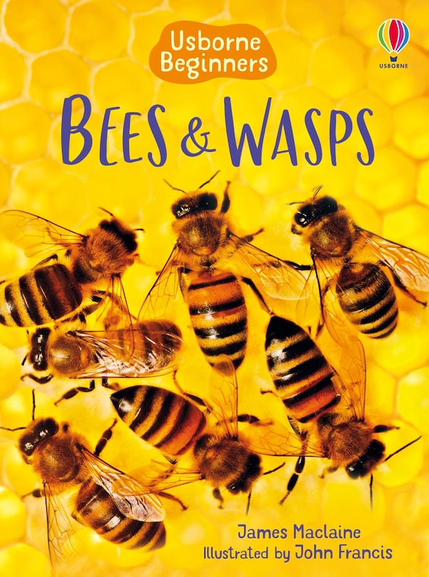 Front cover_Bees and Wasps (Usborne Beginners)