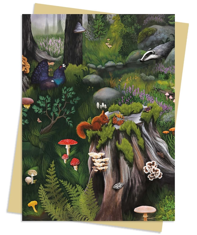 Front cover_Anna Stead: Deep in the Forest Greeting Card Pack