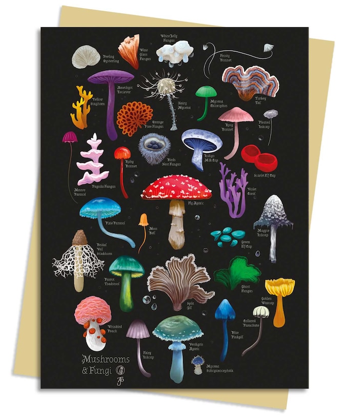 Front cover_Anna Stead: Mushrooms & Fungi Greeting Card Pack