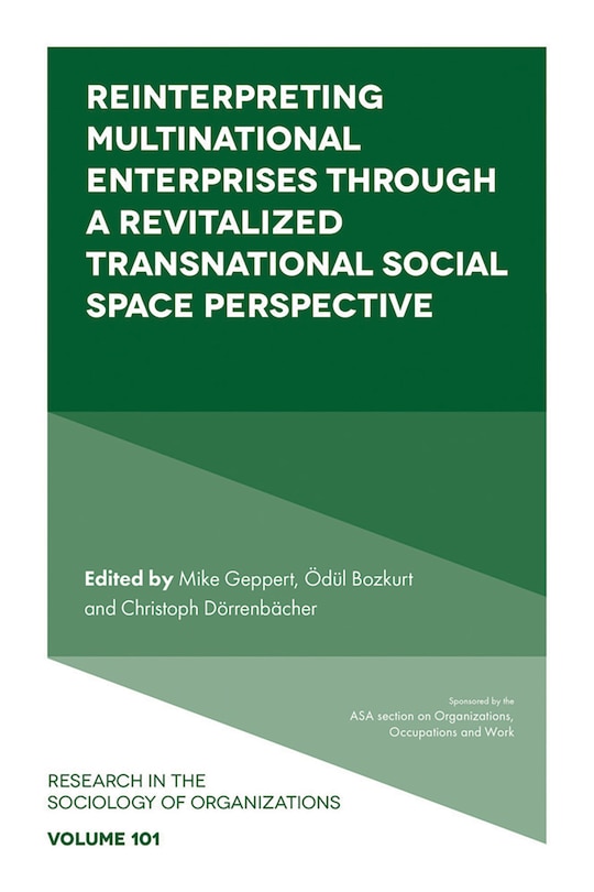 Couverture_Reinterpreting Multinational Enterprises through a Revitalized Transnational Social Space Perspective