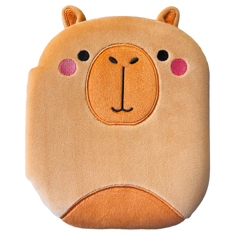 Couverture_Squish and Snugg Curious Capybara