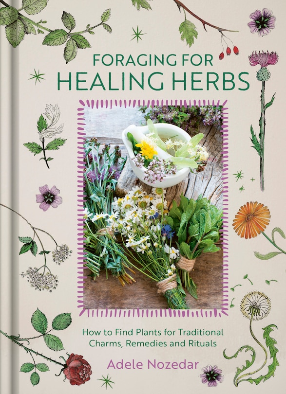Front cover_Foraging for Healing Herbs