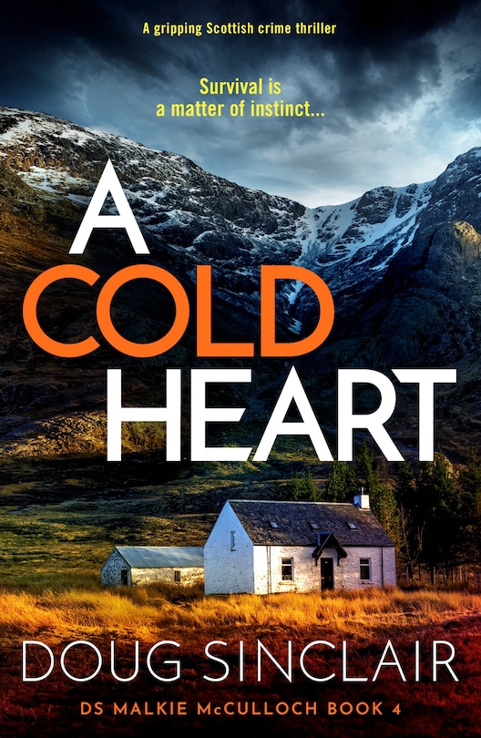 Couverture_A Cold Heart