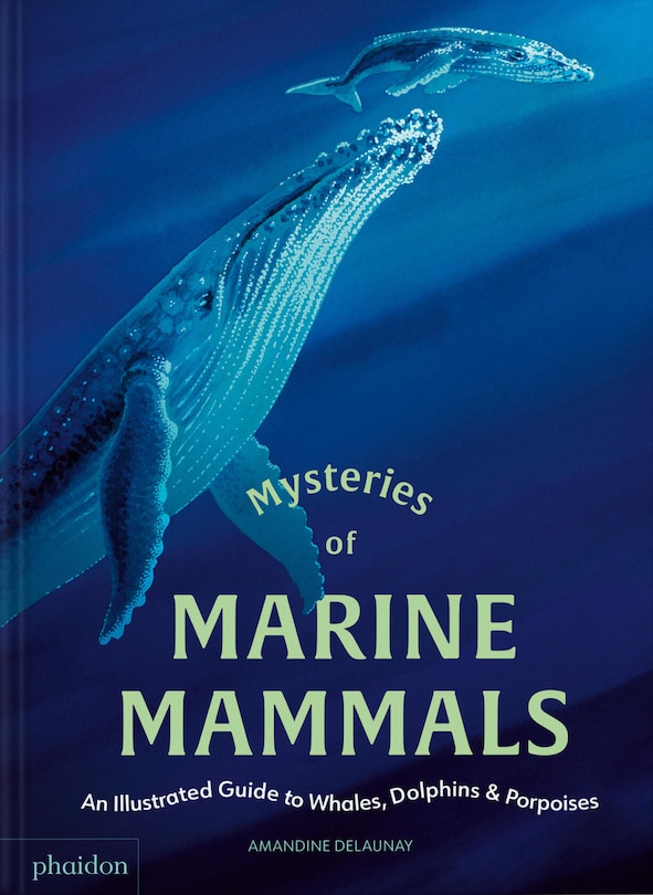 Front cover_Mysteries of Marine Mammals